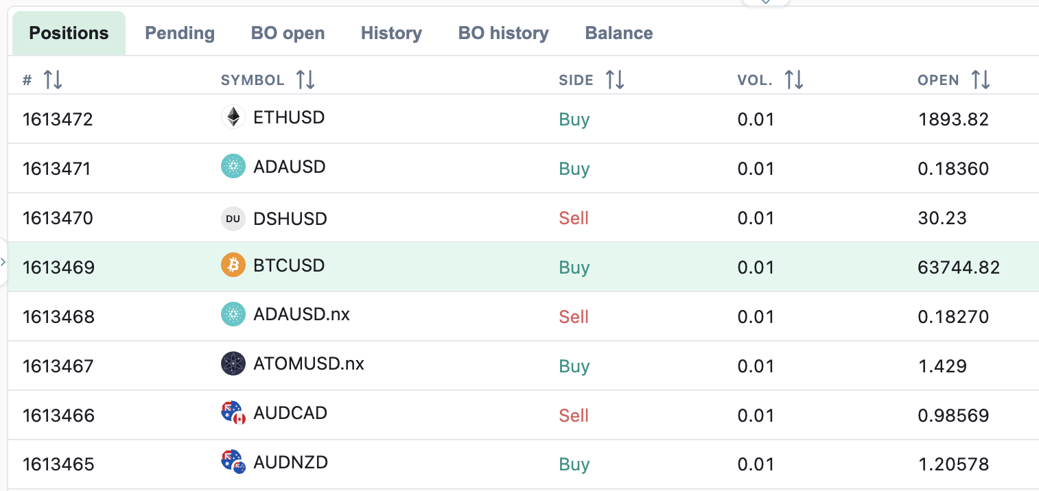 WebTrader trade journal and risk monitor